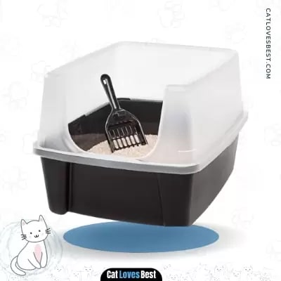 Types of Best Cat Litter Boxes