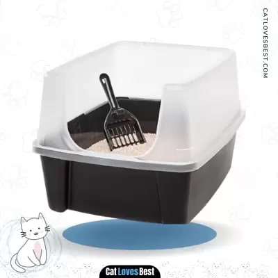 Iris USA Open Cat Litter Box