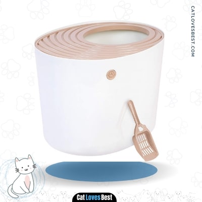 Best Modern Cat Litter Box