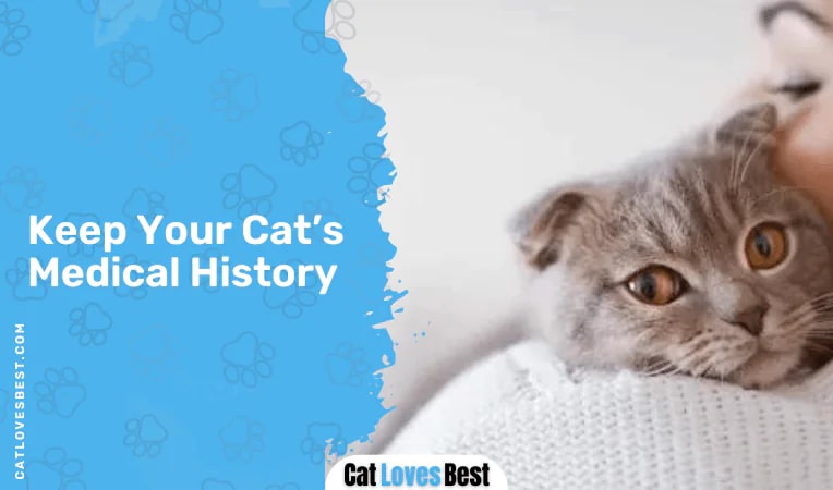 Keep Your Cat’s Medical History