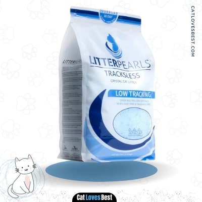 Best Non-Tracking Cat Litter