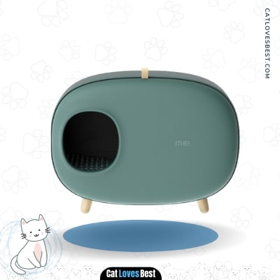 MS Cat Litter Box