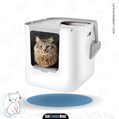 Modkat Xl Litter Box