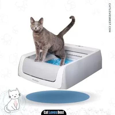 PetSafe ScoopFree Automatic Cat Litter Box