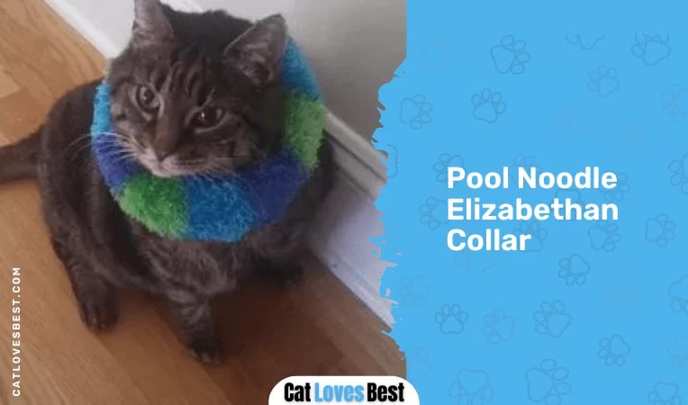 Pool Noodle Elizabethan Colla