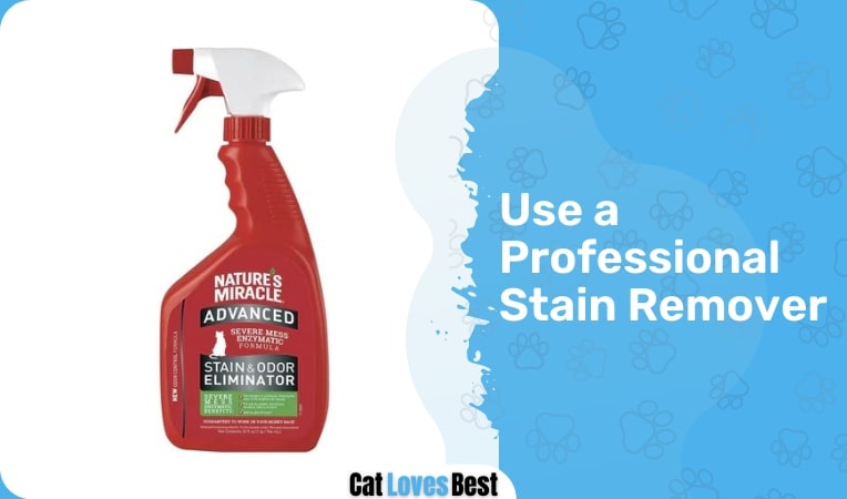 Professional Stain Remover