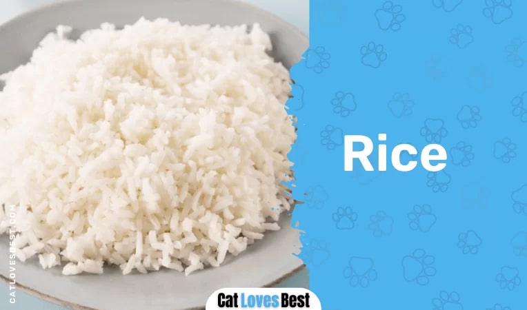 Rice