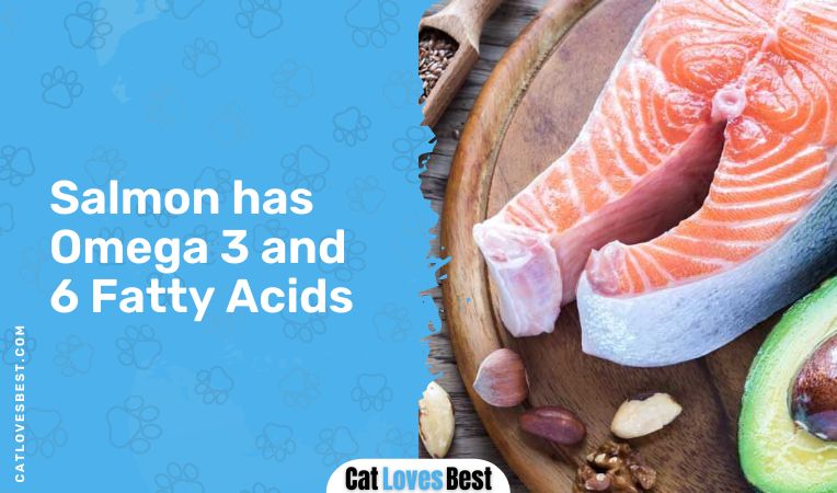 Salmon Has Omega 3 and 6 Fatty Acids