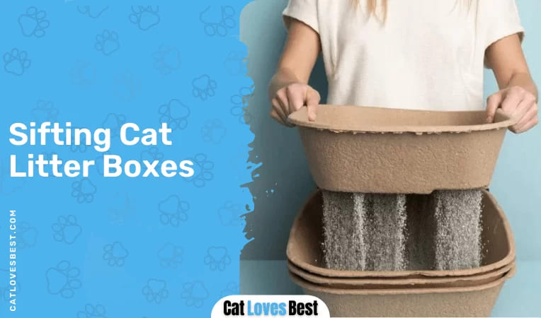 Sifting Cat Litter Boxes