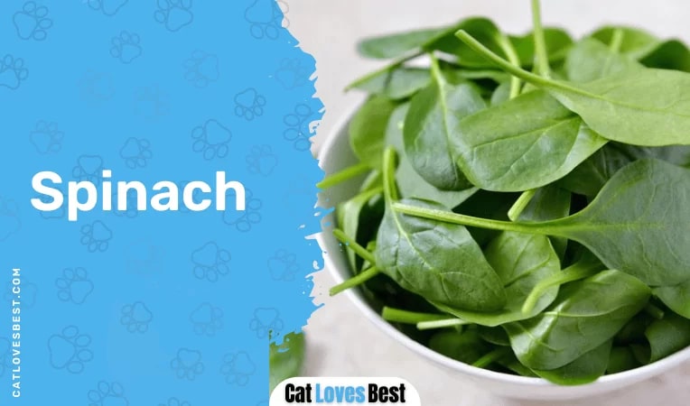 Spinach