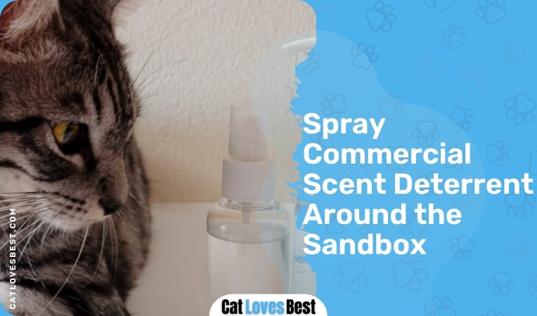 Spray Commercial Scent Deterrent Around the