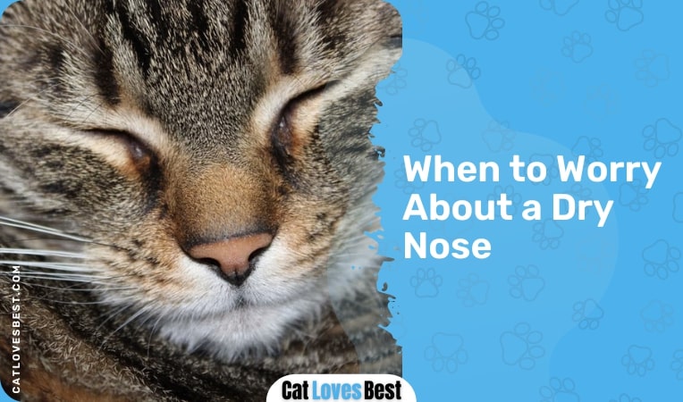 When to Worry About a Dry Nose