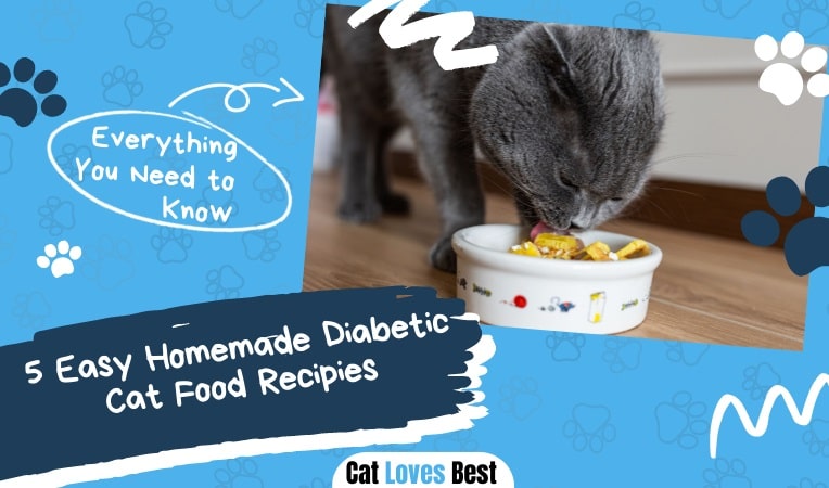 5 Easy Homemade Diabetic Cat Food Recipies