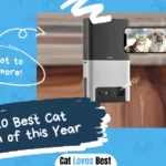 Best Cat Cameras