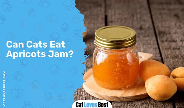 Can Cats Eat Apricots Jam