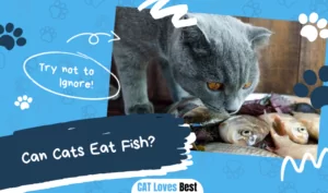 Can Cats Eat Fish