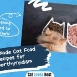 Homemade Cat Food Recipes for Hyperthyroidism