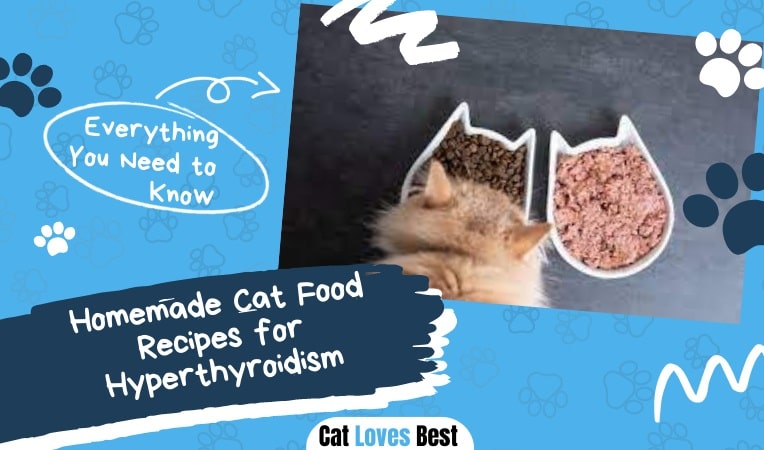 Homemade Cat Food Recipes for Hyperthyroidism