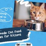 Homemade Cat Food Recipes for Kittens