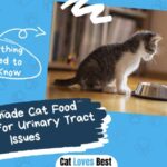 Homemade Cat Food Recipes for Urinary Tract Issues