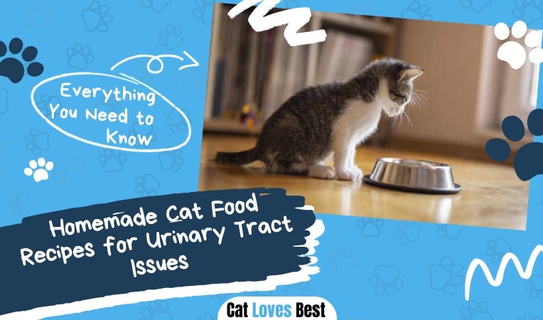 Homemade Cat Food Recipes for Urinary Tract Issues