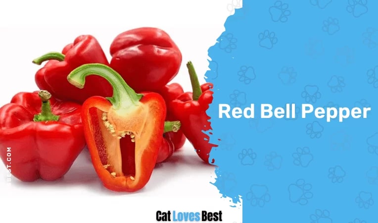 Red Bell Pepper