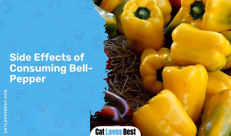 Side Effects of Consuming Bell Pepper