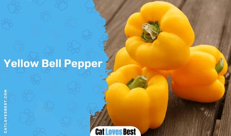 Yellow Bell Pepper