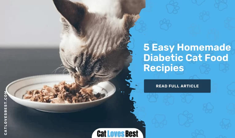 5 Easy Homemade Food for Diabetic Cats