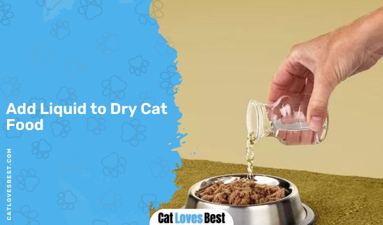Add Liquid to Dry Cat Food