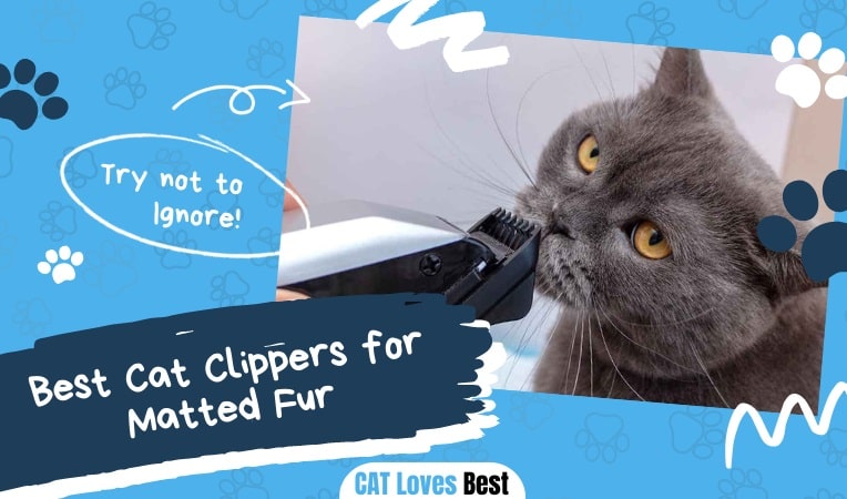 Best Cat Clippers for Matted Fur