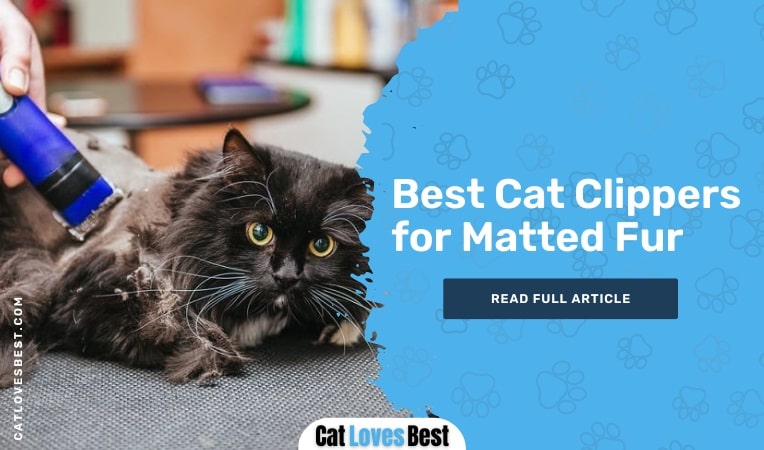 Best Cat Clippers for Matted Fur