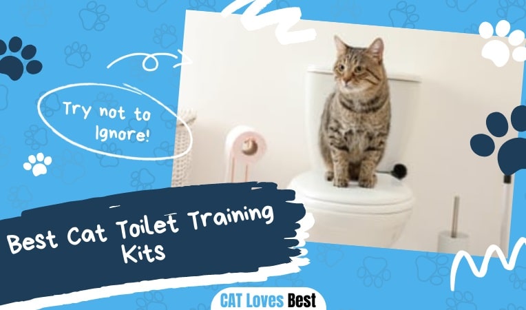 Best Cat Toilet Training Kits