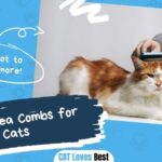 Best Flea Combs for Cats