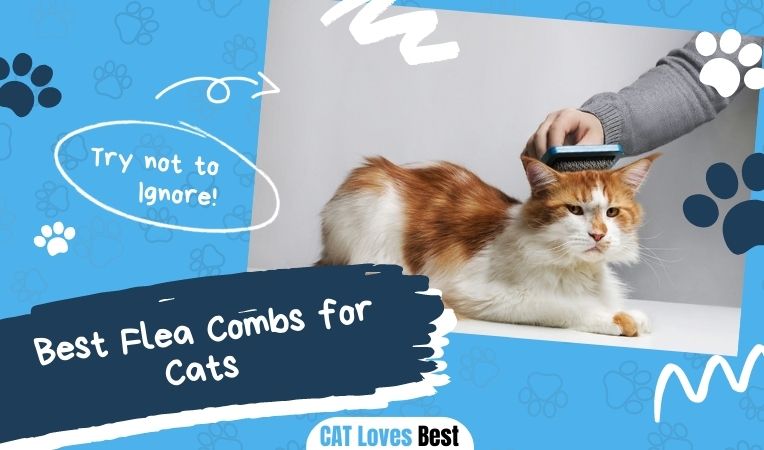 Best Flea Combs for Cats