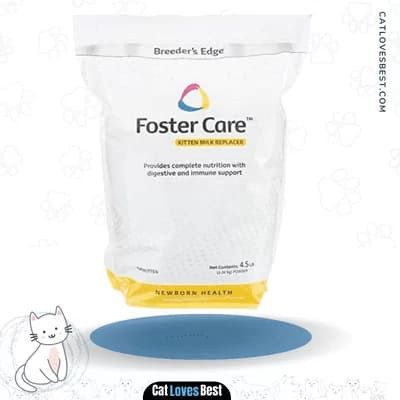 Breeder’s Edge Foster Care Feline