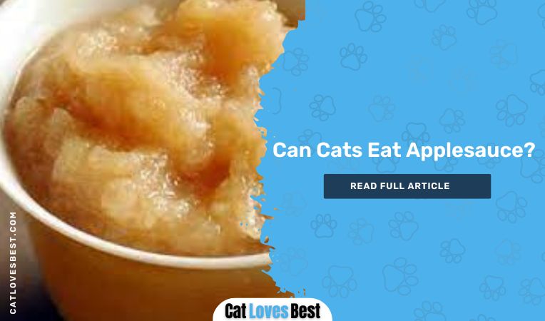 Can Cats Eat Applesauce