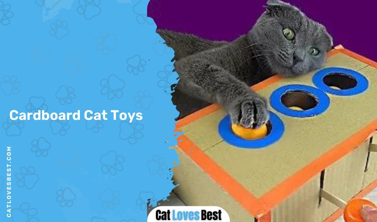  Cardboard Cat Toys