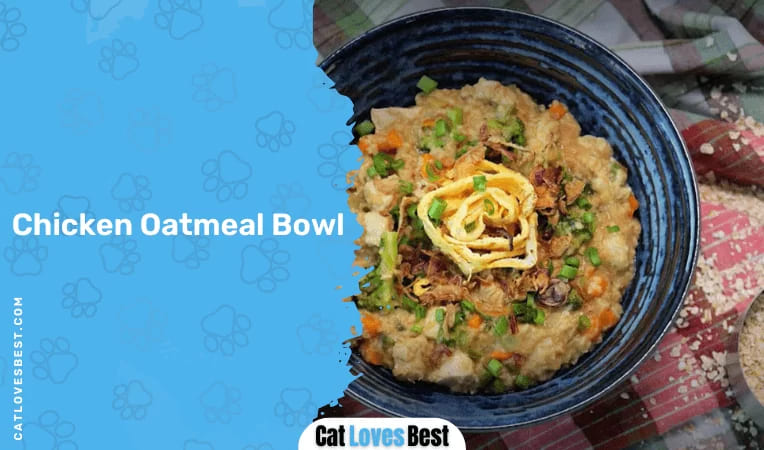 Chicken Oatmeal Bowl 