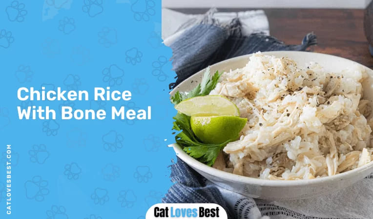 Chicken Rice With Bone Meal
