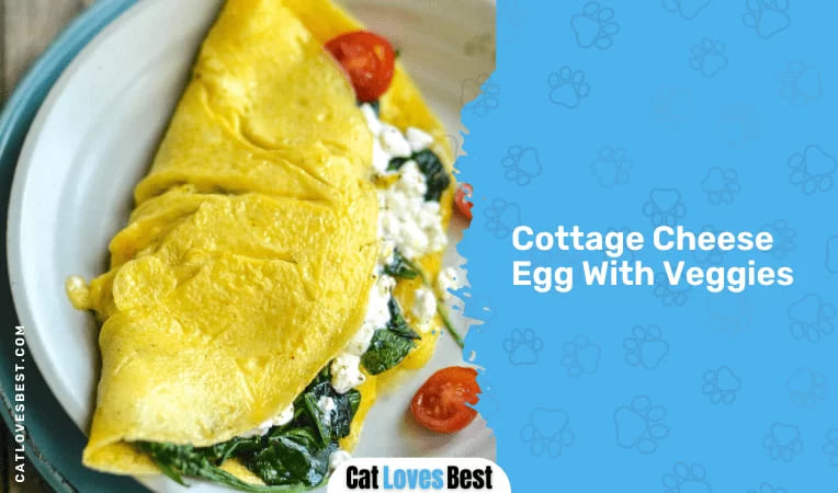 Cottage Cheese Egg With Veggies
