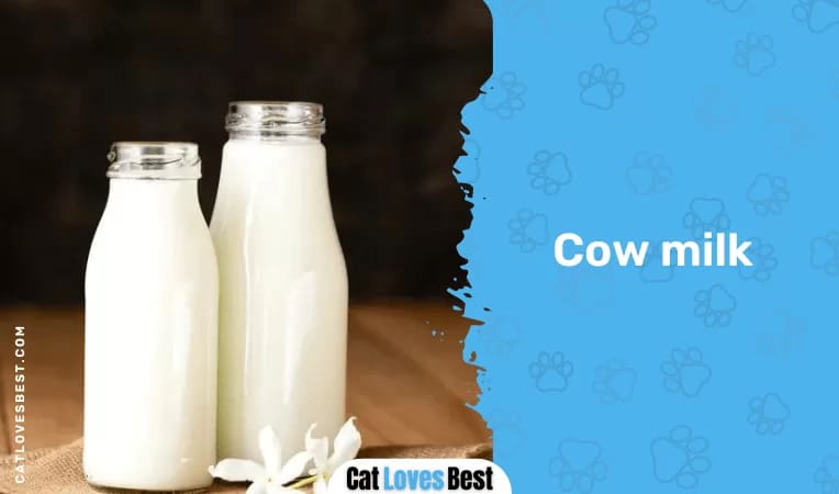 Cow milk