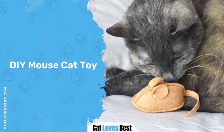 DIY Mouse Cat Toy