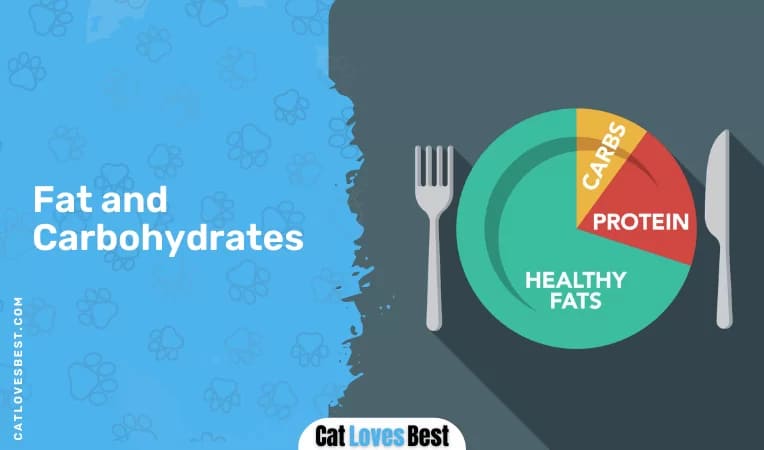 Fat and Carbohydrates