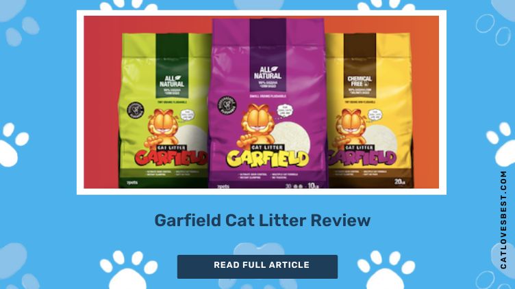 Garfield Cat Litter
