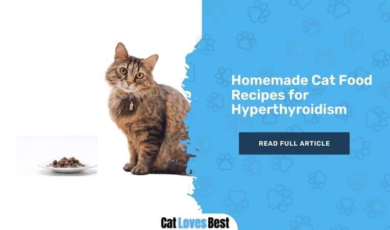 Homemade Cat Food Recipes for Hyperthyroidism