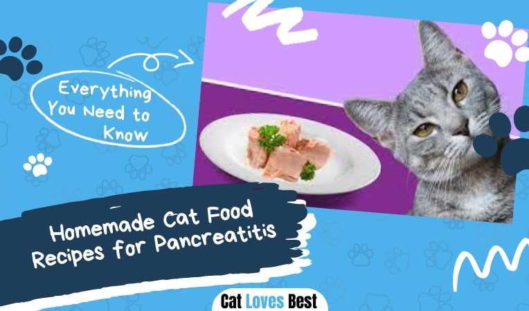 Homemade Cat Food Recipes for Pancreatitis