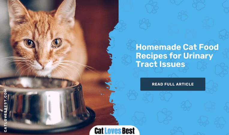 Homemade Cat Food Recipes for Urinary Problems in Cats