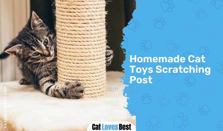 Homemade Cat Toys Scratching Post