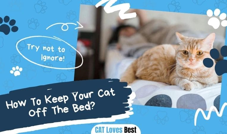 How To Keep Your Cat Off The Bed